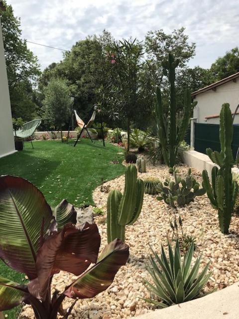 Villa Oha Close Cannes,Nice, Valbonne , Opio 罗科福尔雷潘 外观 照片
