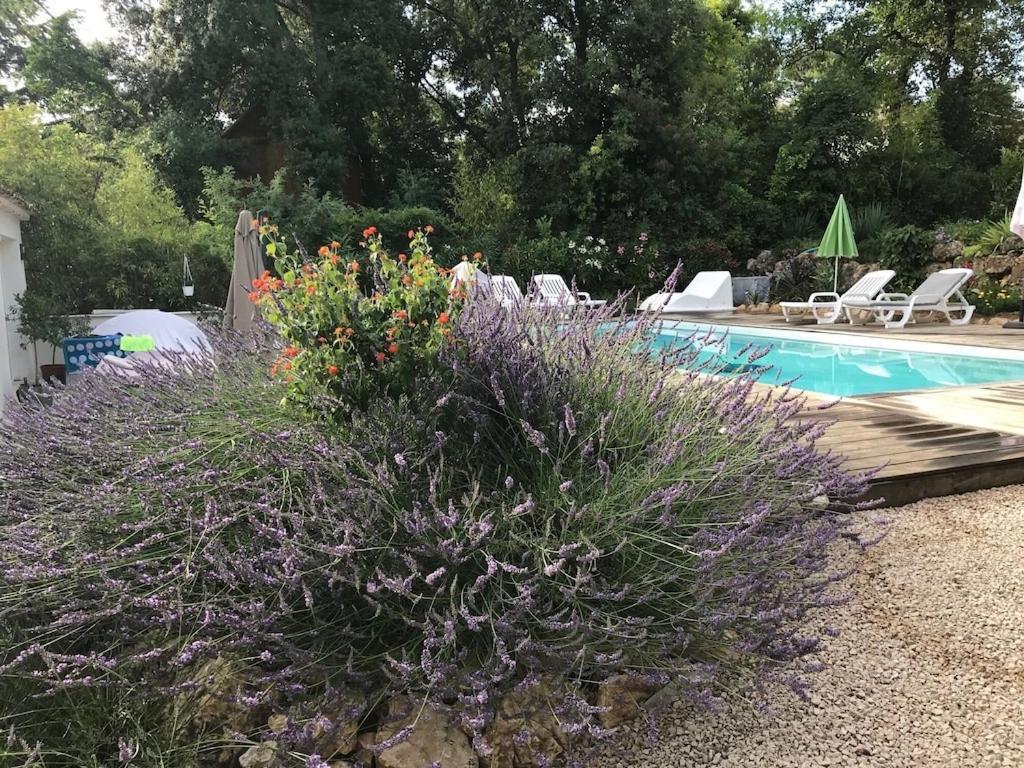 Villa Oha Close Cannes,Nice, Valbonne , Opio 罗科福尔雷潘 外观 照片
