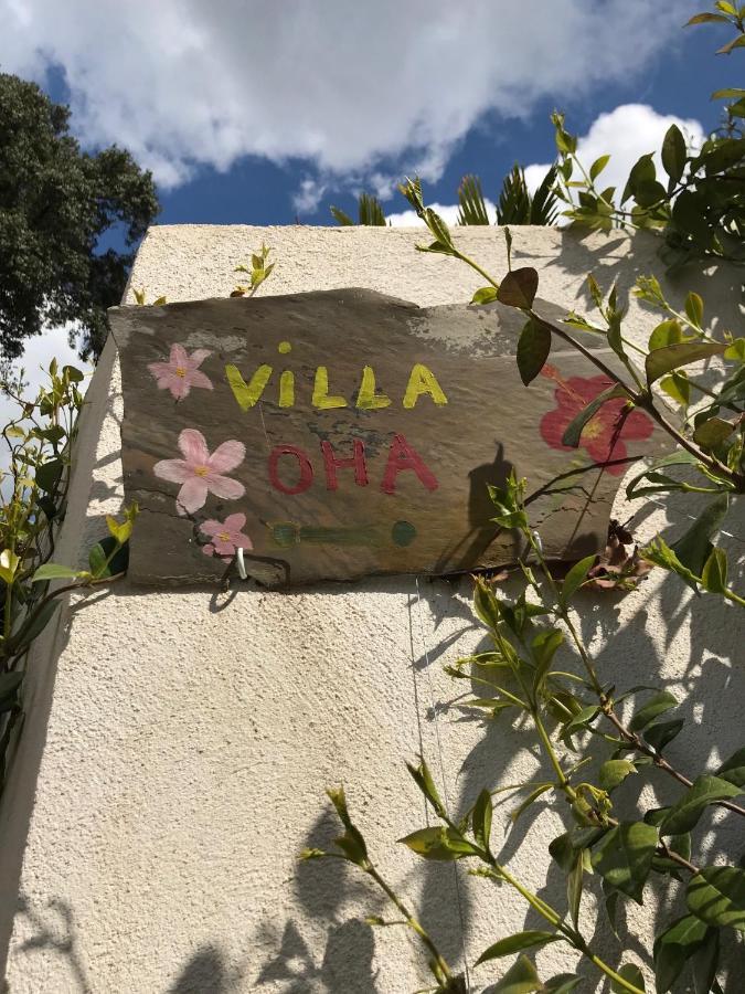 Villa Oha Close Cannes,Nice, Valbonne , Opio 罗科福尔雷潘 外观 照片
