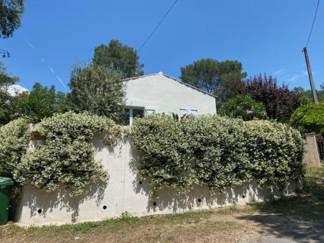 Villa Oha Close Cannes,Nice, Valbonne , Opio 罗科福尔雷潘 外观 照片
